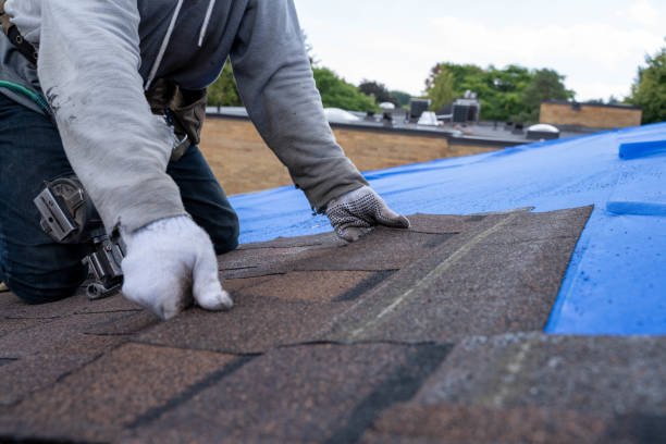 Gutter Installation and Roofing in Poplar Cotton Center, CA